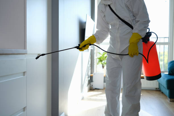 Mold Removal and Inspection in Oakland Park, FL